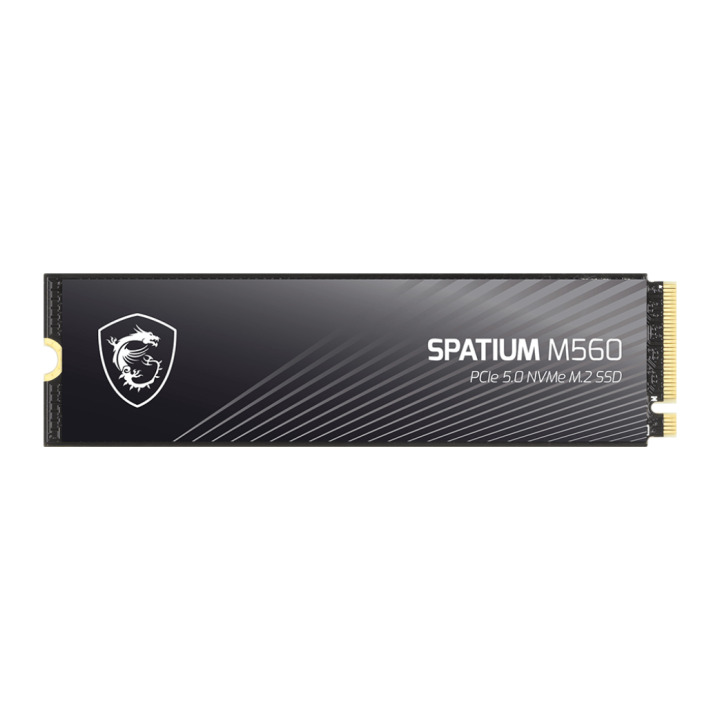 MSI SPATIUM M560 2T PCIE5.0