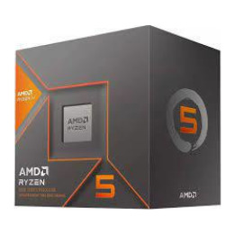 AMD RYZEN 5 8600G 4.3G BOX