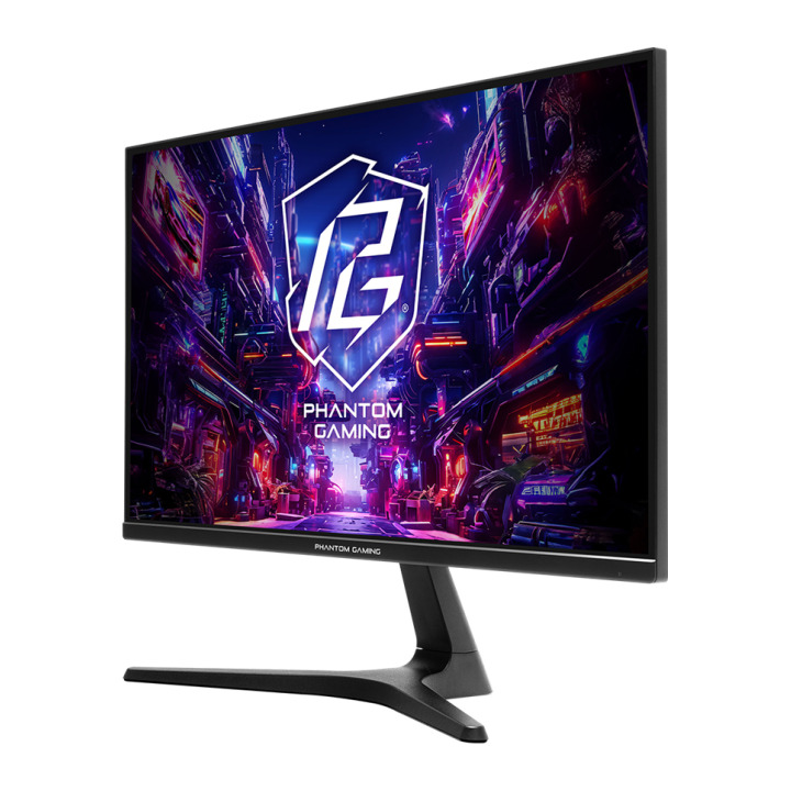 ASROCK 24.5 PG25FFT 180HZ