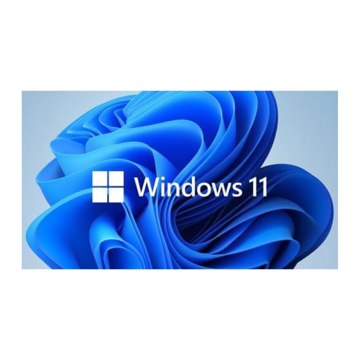 Microsoft WIN 11 HOME 64BIT ENG DSP DVD
