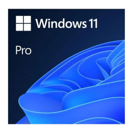 Microsoft WIN 11 PRO 64BIT ENG USB FPP