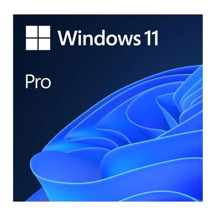 Microsoft WIN 11 PRO 64BIT ENG USB FPP