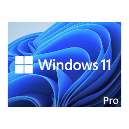 Microsoft WIN 11 PRO 64BIT ENG DSP DVD