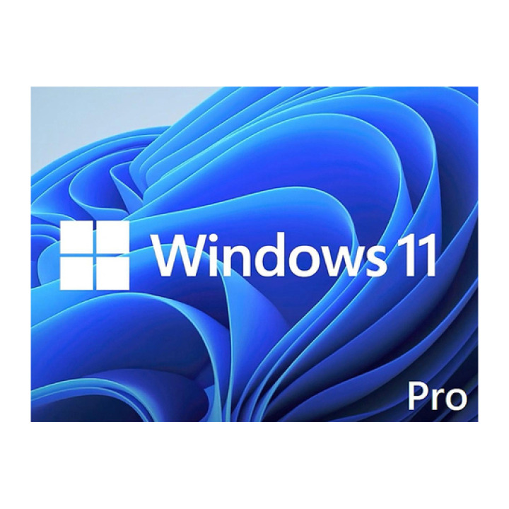 Microsoft WIN 11 PRO 64BIT ENG DSP DVD