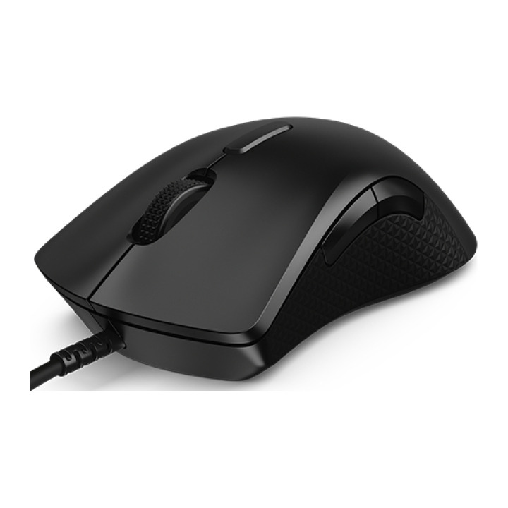 LENOVO M300 RGB/GY50X79384