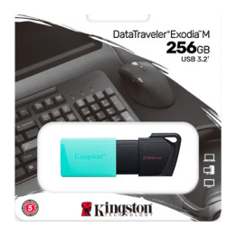 256GB USB3.2 DTXM KINGSTON