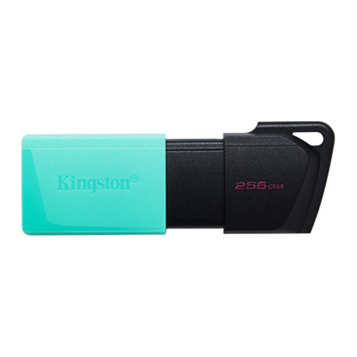 256GB USB3.2 DTXM KINGSTON