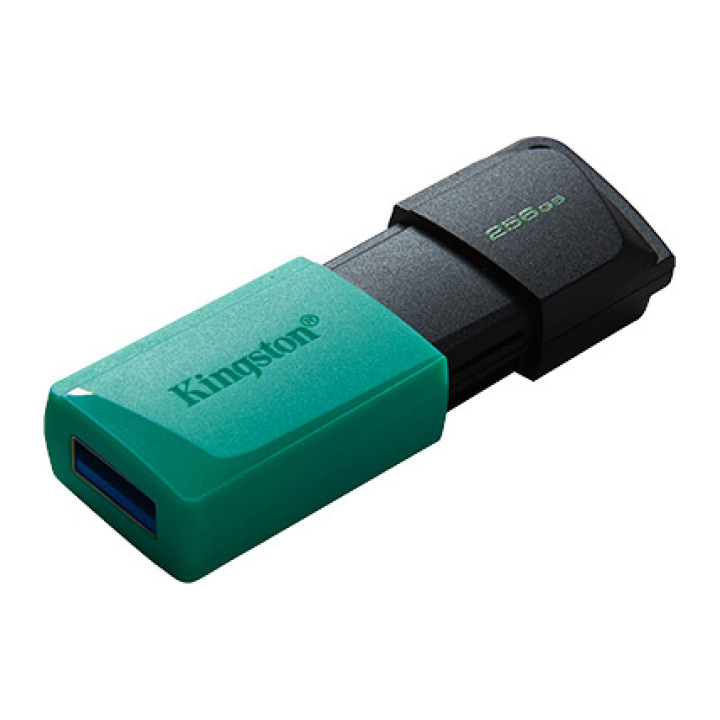 256GB USB3.2 DTXM KINGSTON