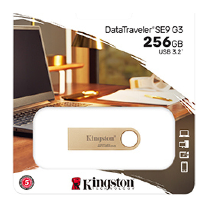 256G USB3.2 DTSE9G3 KINGSTON