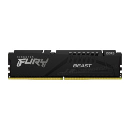 8G DDR5 5600 KINGSTON BEAST