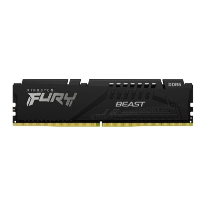 8G DDR5 5600 KINGSTON BEAST