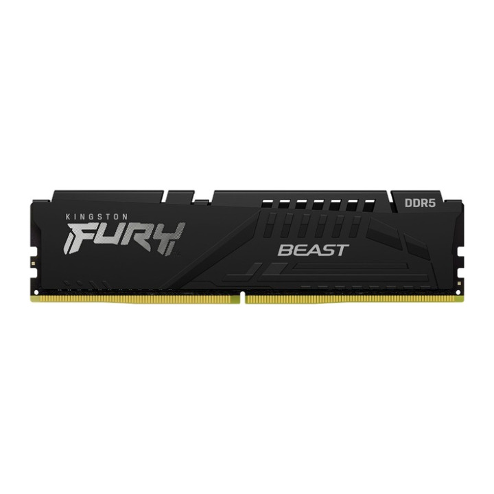 Kingston 8G DDR5 5600 KINGST EXPO BEAST