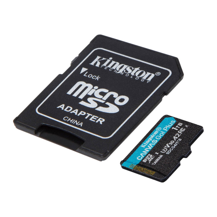 Kingston 1TB SDMIC KINGST GO+ SDCG4