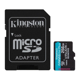 Kingston 256G SDMIC KINGST GO+ SDCG4