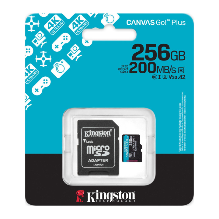 Kingston 256G SDMIC KINGST GO+ SDCG4