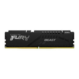 Kingston 16G DDR5 5600 KING EXPO BEAST