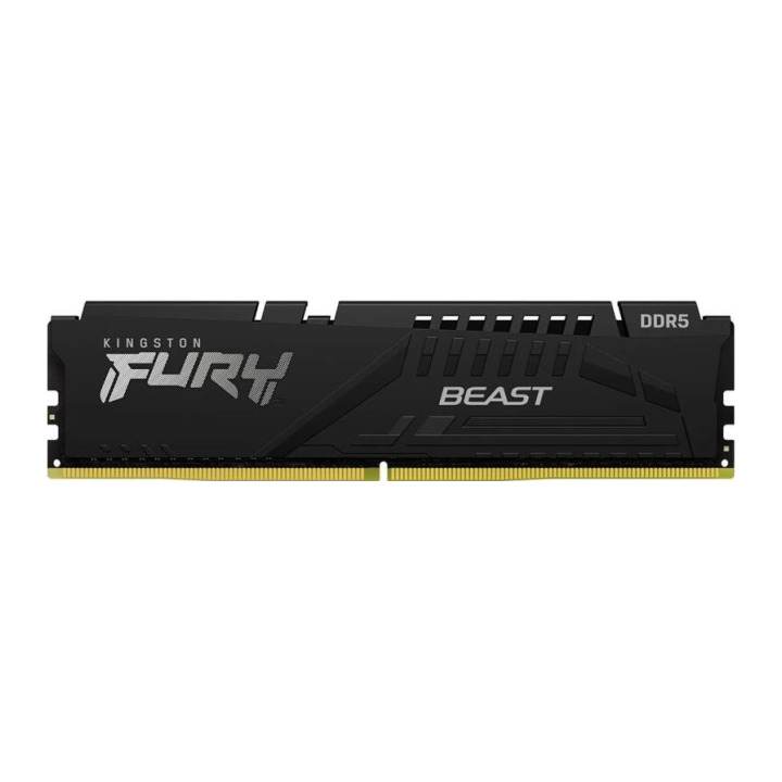 Kingston 16G DDR5 5600 KING EXPO BEAST