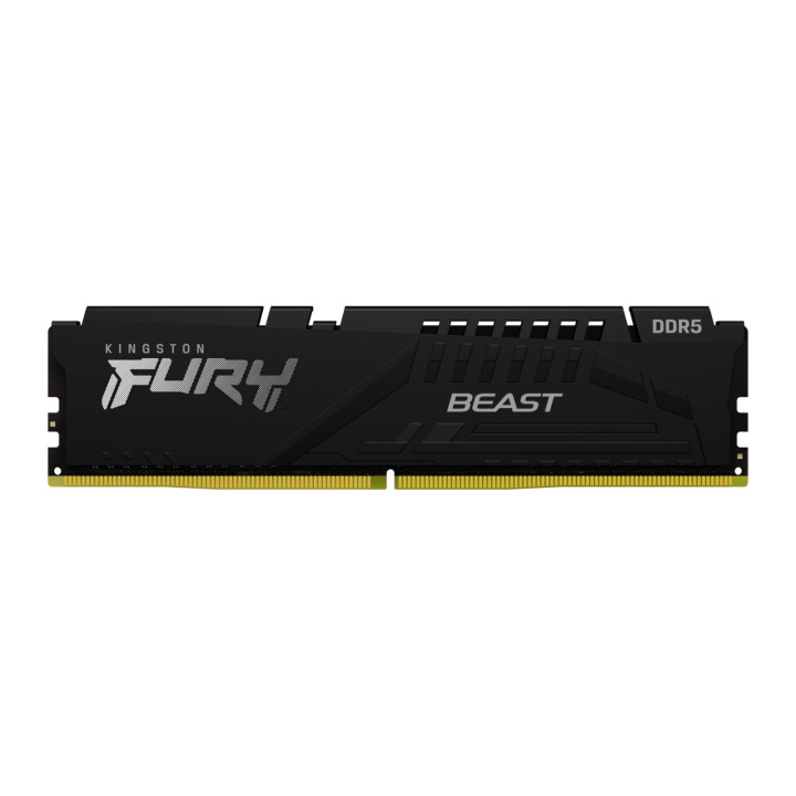 Kingston 16G DDR5 6000 KING EXPO BEAST